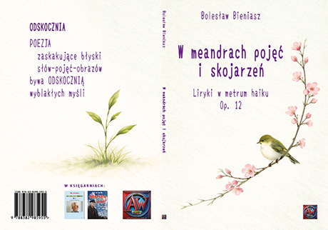 W meandrach pojęć i skojarzeń